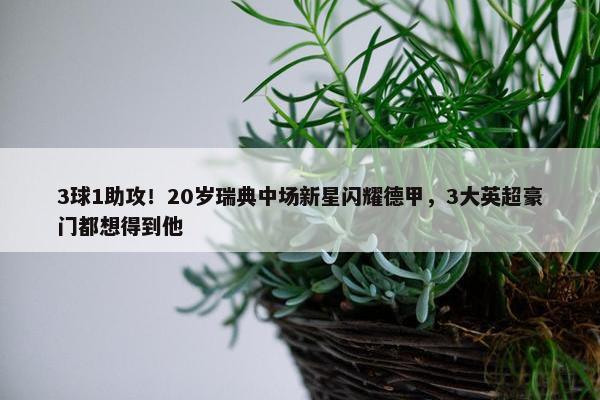 3球1助攻！20岁瑞典中场新星闪耀德甲，3大英超豪门都想得到他