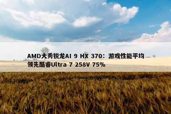 AMD大秀锐龙AI 9 HX 370：游戏性能平均领先酷睿Ultra 7 258V 75％