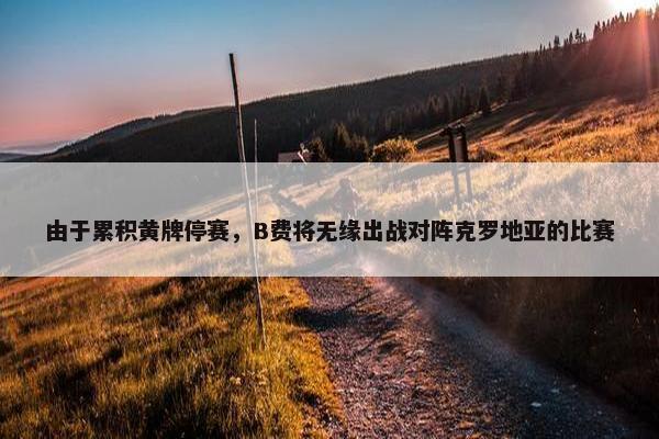 由于累积黄牌停赛，B费将无缘出战对阵克罗地亚的比赛