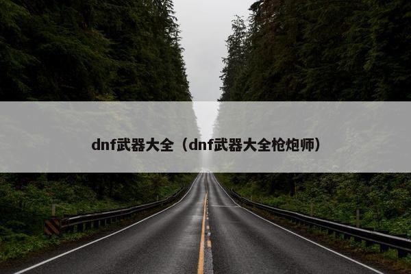 dnf武器大全（dnf武器大全枪炮师）