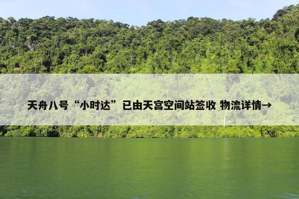 天舟八号“小时达”已由天宫空间站签收 物流详情→