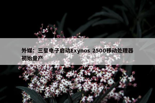 外媒：三星电子启动Exynos 2500移动处理器初始量产