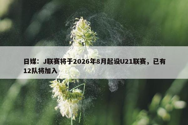 日媒：J联赛将于2026年8月起设U21联赛，已有12队将加入