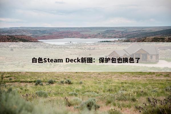 白色Steam Deck新图：保护包也换色了