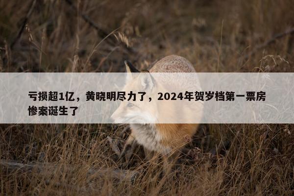 亏损超1亿，黄晓明尽力了，2024年贺岁档第一票房惨案诞生了