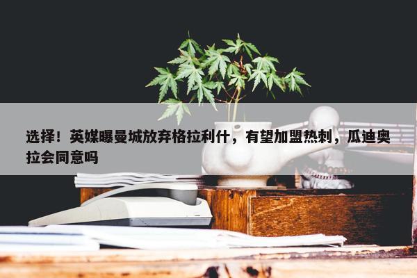 选择！英媒曝曼城放弃格拉利什，有望加盟热刺，瓜迪奥拉会同意吗