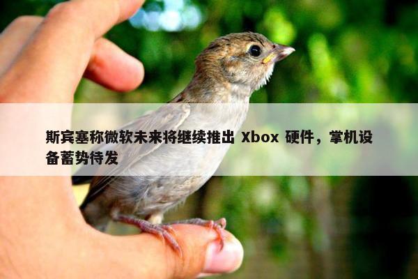 斯宾塞称微软未来将继续推出 Xbox 硬件，掌机设备蓄势待发