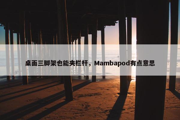 桌面三脚架也能夹栏杆，Mambapod有点意思