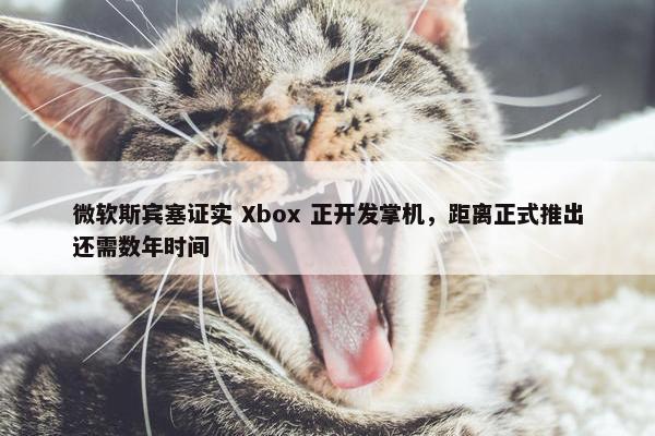 微软斯宾塞证实 Xbox 正开发掌机，距离正式推出还需数年时间