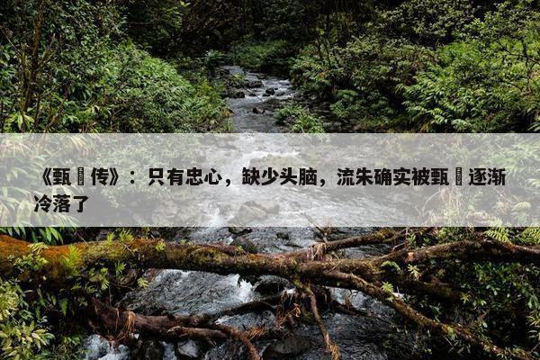 《甄嬛传》：只有忠心，缺少头脑，流朱确实被甄嬛逐渐冷落了