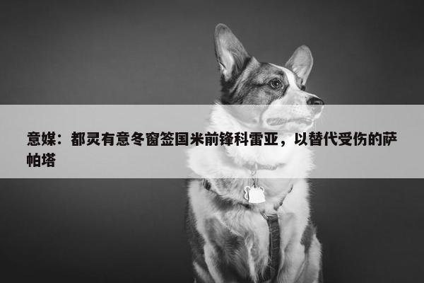 意媒：都灵有意冬窗签国米前锋科雷亚，以替代受伤的萨帕塔