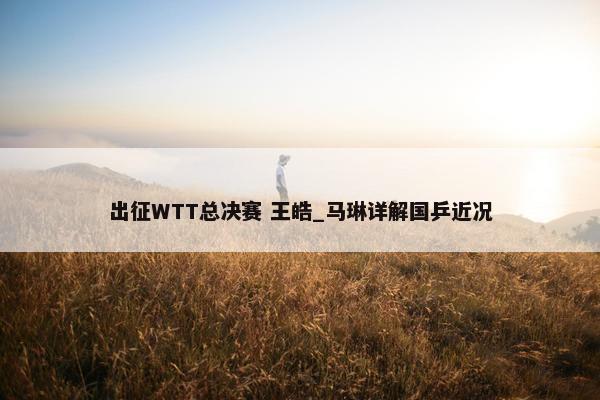 出征WTT总决赛 王皓_马琳详解国乒近况