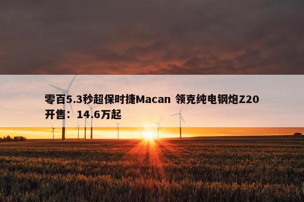 零百5.3秒超保时捷Macan 领克纯电钢炮Z20开售：14.6万起