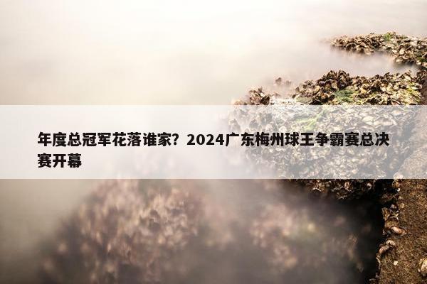 年度总冠军花落谁家？2024广东梅州球王争霸赛总决赛开幕