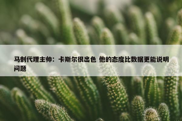 马刺代理主帅：卡斯尔很出色 他的态度比数据更能说明问题