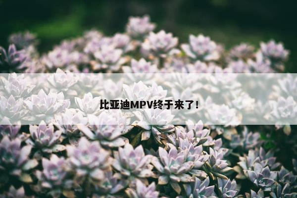 比亚迪MPV终于来了！