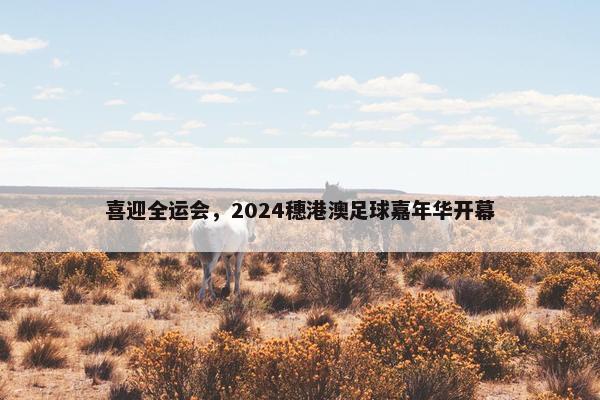 喜迎全运会，2024穗港澳足球嘉年华开幕