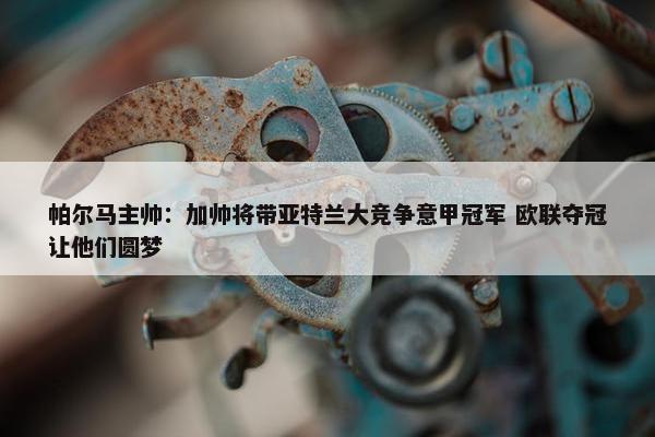 帕尔马主帅：加帅将带亚特兰大竞争意甲冠军 欧联夺冠让他们圆梦