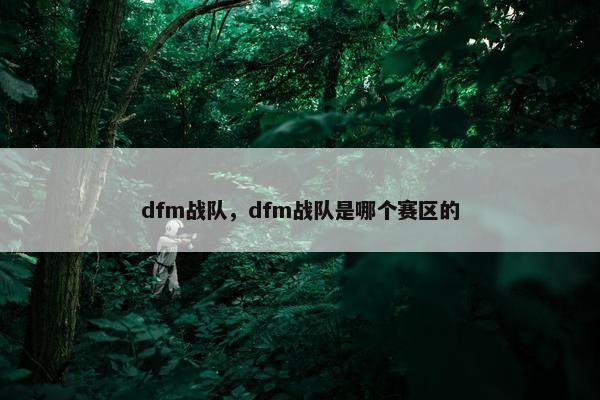 dfm战队，dfm战队是哪个赛区的