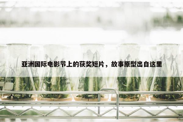 亚洲国际电影节上的获奖短片，故事原型出自这里