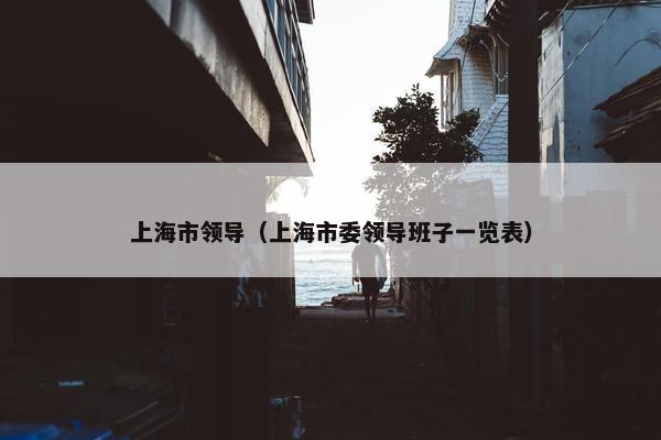 上海市领导（上海市委领导班子一览表）