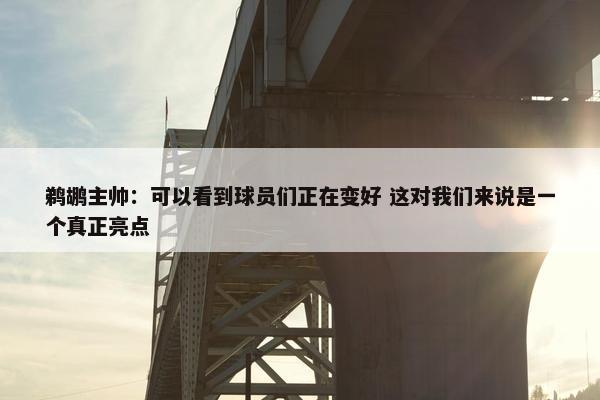 鹈鹕主帅：可以看到球员们正在变好 这对我们来说是一个真正亮点