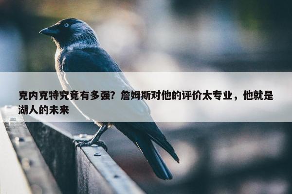 克内克特究竟有多强？詹姆斯对他的评价太专业，他就是湖人的未来