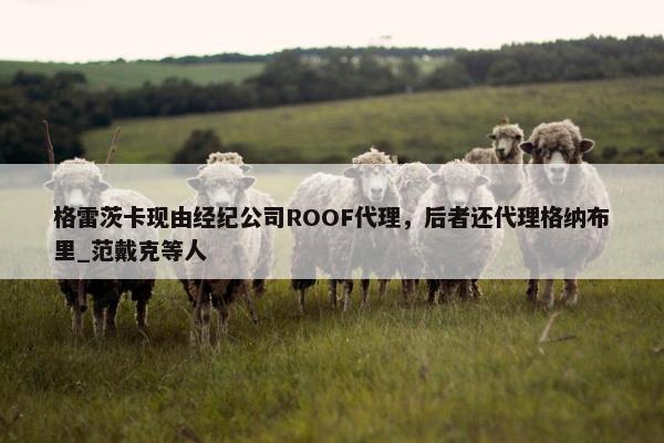 格雷茨卡现由经纪公司ROOF代理，后者还代理格纳布里_范戴克等人