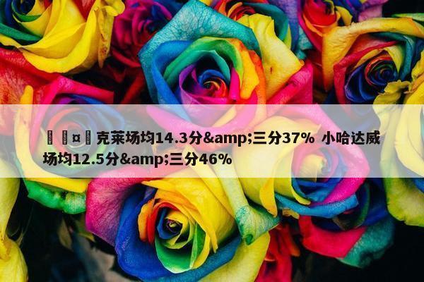 🤔克莱场均14.3分&三分37% 小哈达威场均12.5分&三分46%