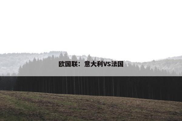 欧国联：意大利VS法国