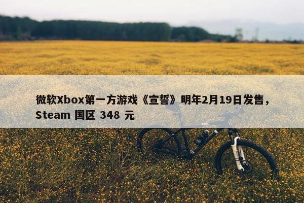 微软Xbox第一方游戏《宣誓》明年2月19日发售，Steam 国区 348 元