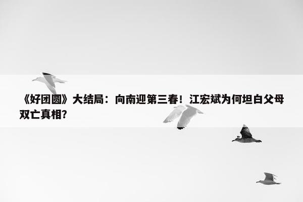 《好团圆》大结局：向南迎第三春！江宏斌为何坦白父母双亡真相？