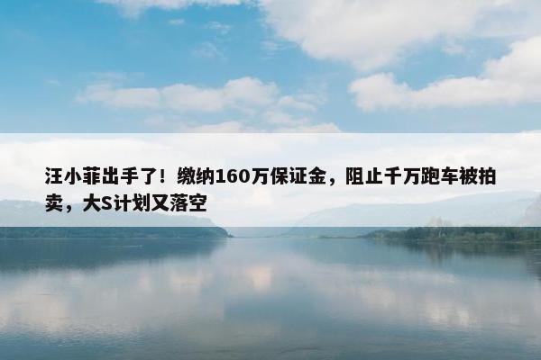 汪小菲出手了！缴纳160万保证金，阻止千万跑车被拍卖，大S计划又落空