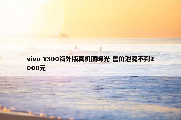 vivo Y300海外版真机图曝光 售价泄露不到2000元