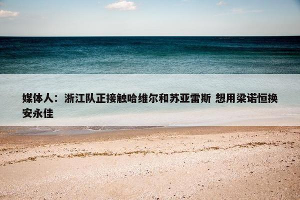 媒体人：浙江队正接触哈维尔和苏亚雷斯 想用梁诺恒换安永佳