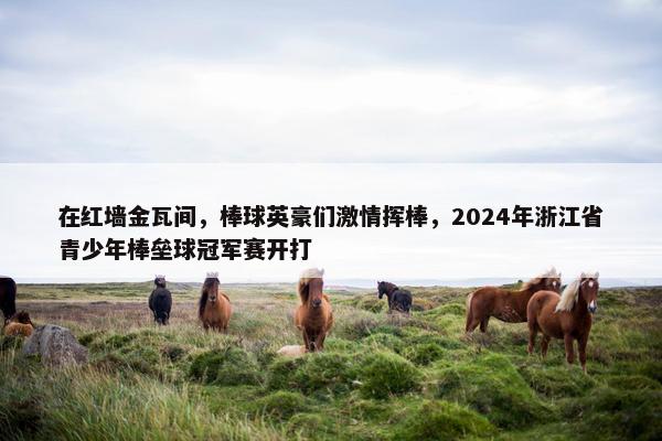 在红墙金瓦间，棒球英豪们激情挥棒，2024年浙江省青少年棒垒球冠军赛开打