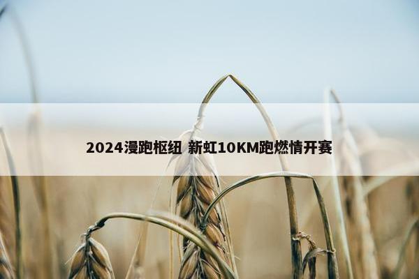 2024漫跑枢纽 新虹10KM跑燃情开赛