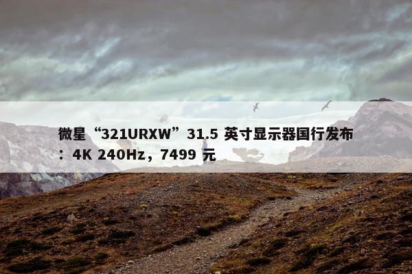 微星“321URXW”31.5 英寸显示器国行发布：4K 240Hz，7499 元