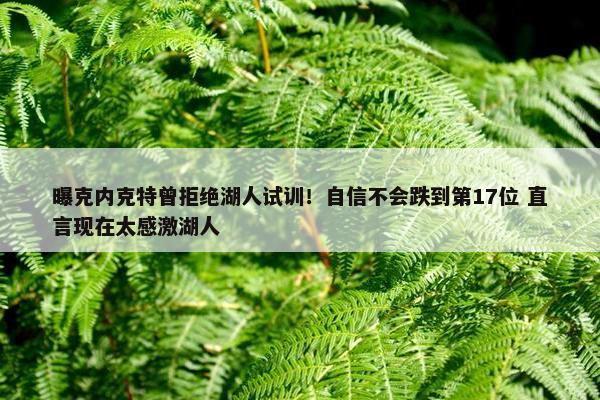 曝克内克特曾拒绝湖人试训！自信不会跌到第17位 直言现在太感激湖人