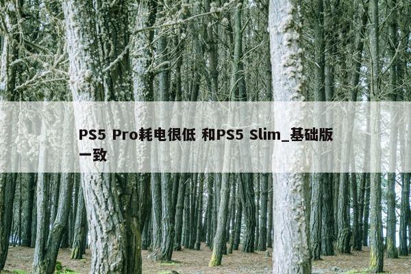 PS5 Pro耗电很低 和PS5 Slim_基础版一致