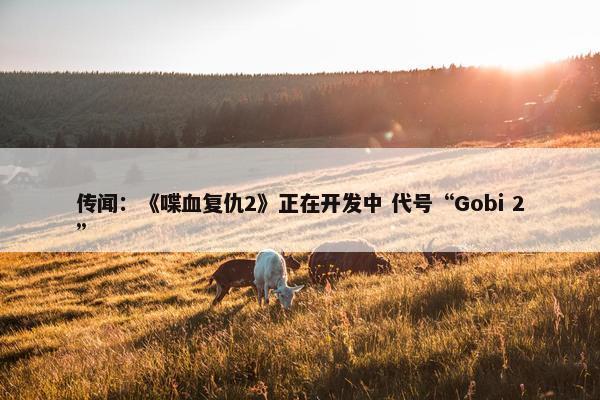 传闻：《喋血复仇2》正在开发中 代号“Gobi 2”