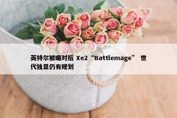 英特尔被曝对后 Xe2“Battlemage” 世代独显仍有规划