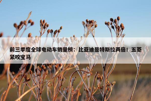 前三季度全球电动车销量榜：比亚迪是特斯拉两倍！五菱紧咬宝马