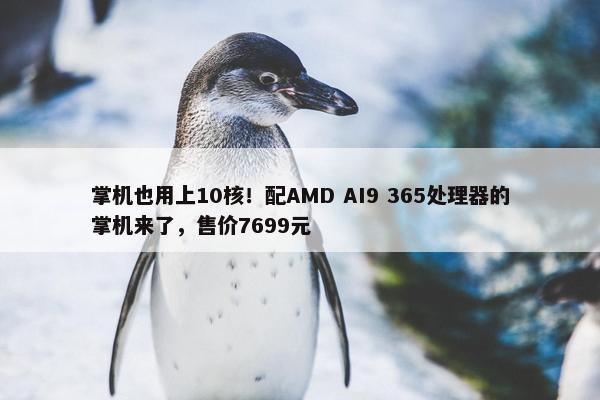 掌机也用上10核！配AMD AI9 365处理器的掌机来了，售价7699元