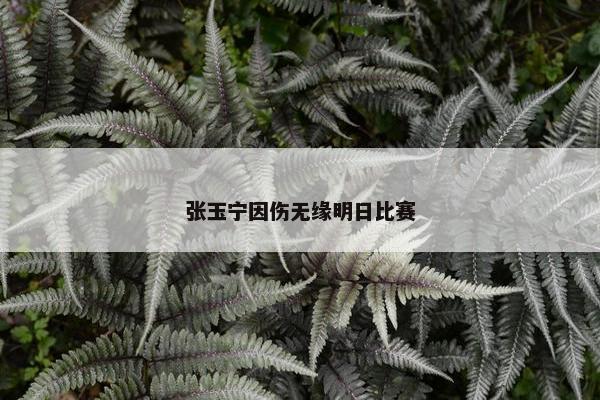 张玉宁因伤无缘明日比赛