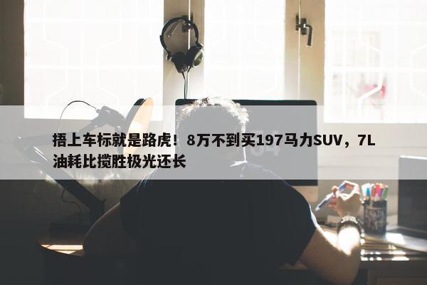 捂上车标就是路虎！8万不到买197马力SUV，7L油耗比揽胜极光还长