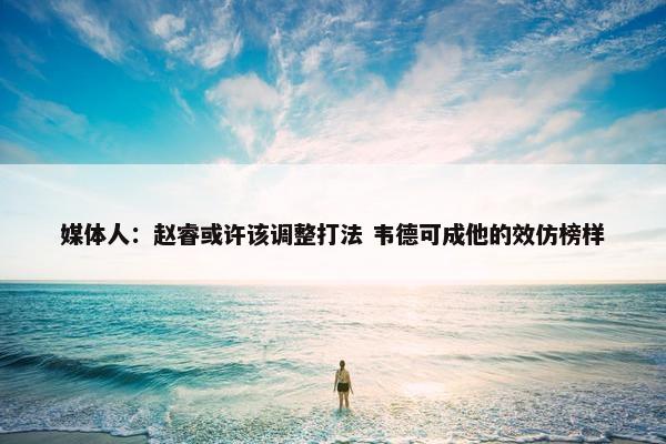 媒体人：赵睿或许该调整打法 韦德可成他的效仿榜样