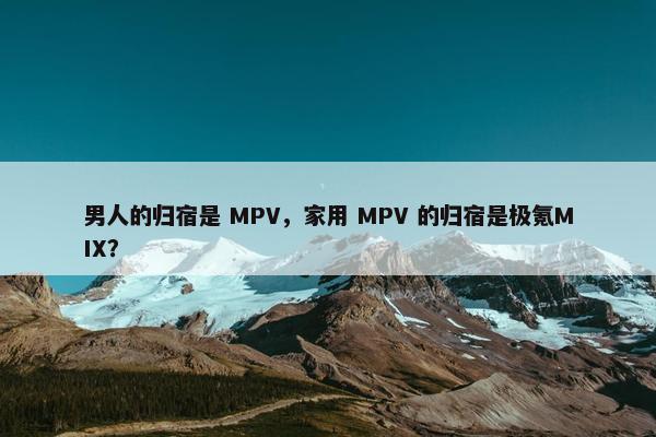 男人的归宿是 MPV，家用 MPV 的归宿是极氪MIX？