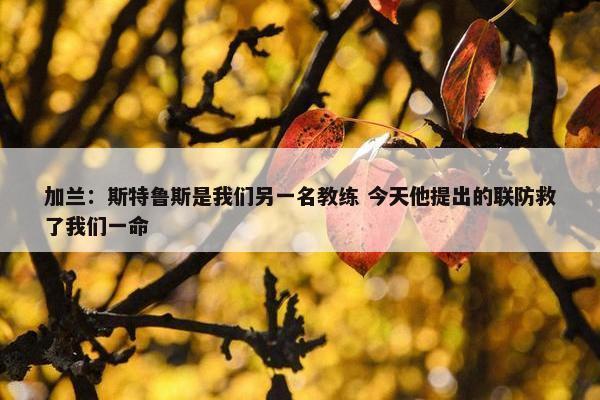 加兰：斯特鲁斯是我们另一名教练 今天他提出的联防救了我们一命