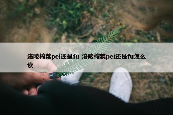 涪陵榨菜pei还是fu 涪陵榨菜pei还是fu怎么读